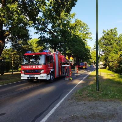 Ffw Stuelpe Lynow 05
